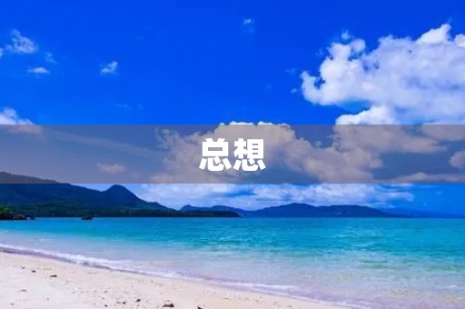 总想