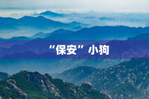 “保安”小狗 “保安”小狗
