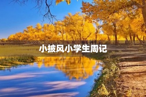 小披风小学生周记 小披风小学生周记