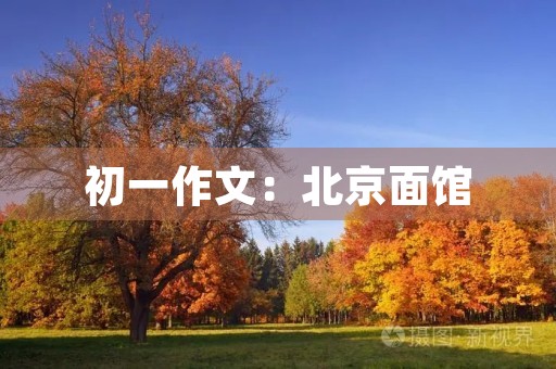 初一作文：北京面馆