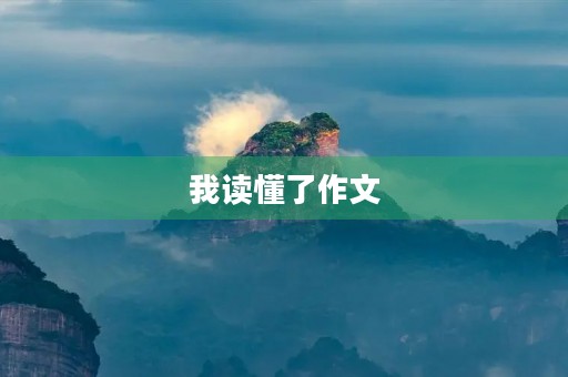我读懂了作文 我读懂了作文