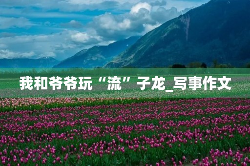 我和爷爷玩“流”子龙_写事作文
