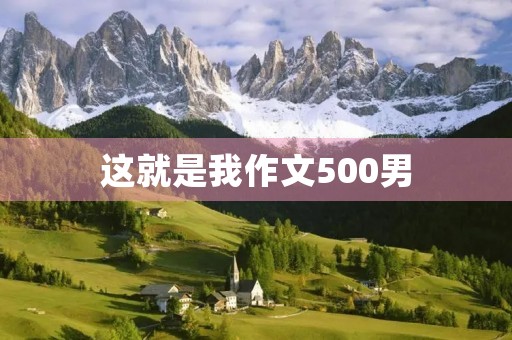 这就是我作文500男 这就是我作文500男