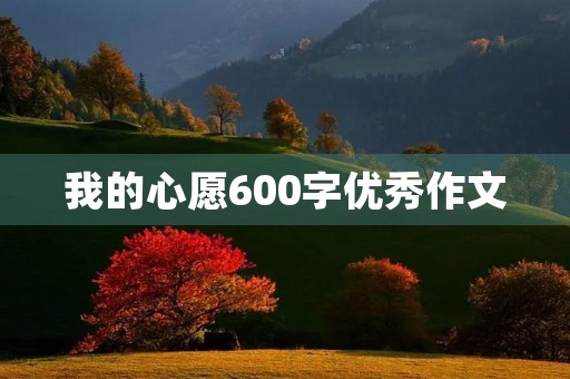 我的心愿600字优秀作文 我的心愿600字优秀作文