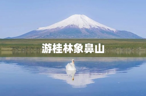 游桂林象鼻山