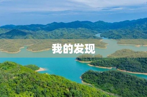 我的发现 我的发现