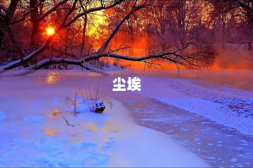 尘埃