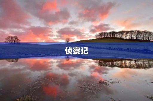 侦察记