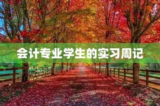 会计专业学生的实习周记