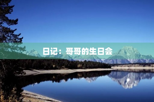 日记：哥哥的生日会