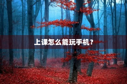 上课怎么能玩手机？