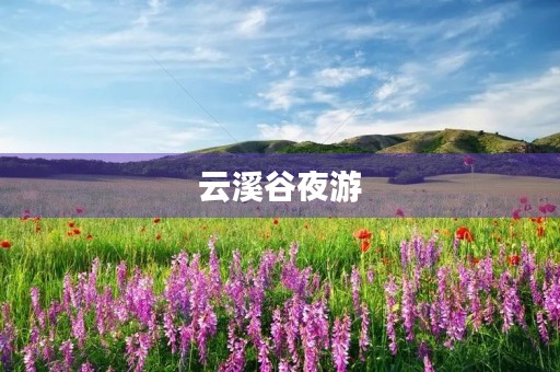 云溪谷夜游 云溪谷夜游