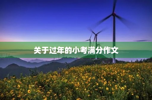 关于过年的小考满分作文 关于过年的小考满分作文