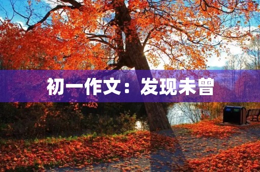 初一作文：发现未曾