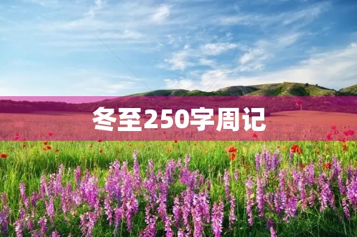 冬至250字周记 冬至250字周记