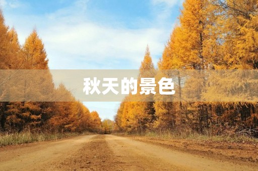 秋天的景色 秋天的景色