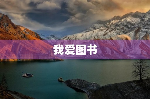 我爱图书