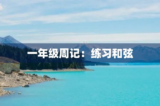 一年级周记：练习**