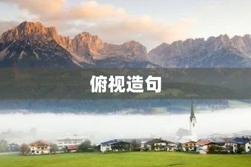 俯视造句