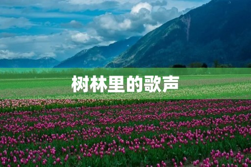 树林里的歌声