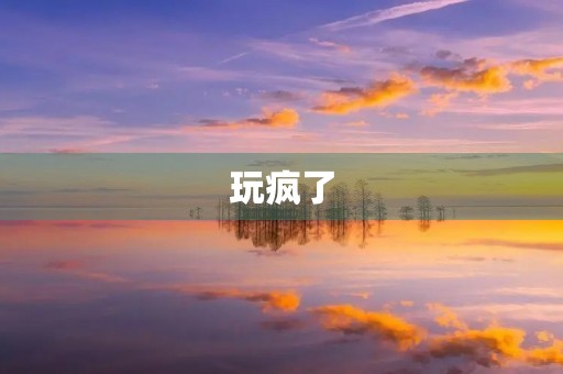 玩疯了 玩疯了