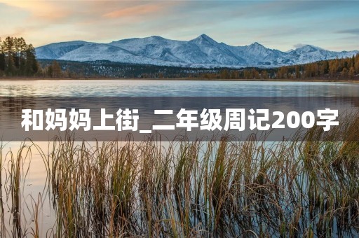 和妈妈上街_二年级周记200字