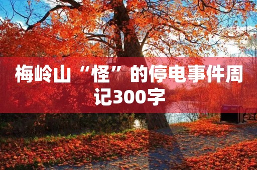 梅岭山“怪”的停电事件周记300字 梅岭山“怪”的停电事件周记300字
