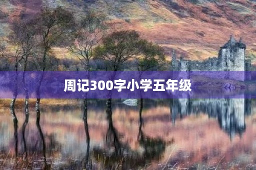 周记300字小学五年级