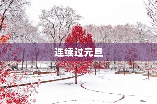 连续过元旦 连续过元旦