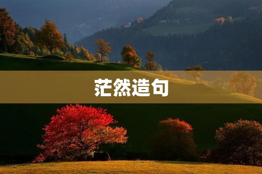 茫然造句 茫然造句