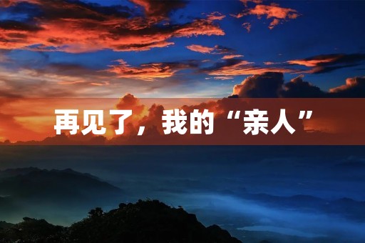 再见了,我的“亲人” 再见了,我的“亲人”