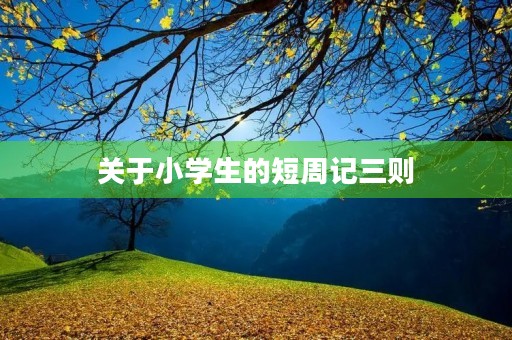 关于小学生的短周记三则 关于小学生的短周记三则
