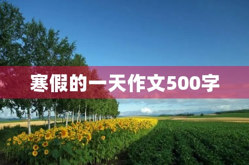 寒假的一天作文500字 寒假的一天作文500字