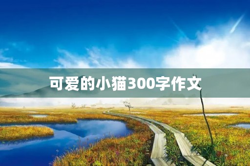 可爱的小猫300字作文 可爱的小猫300字作文