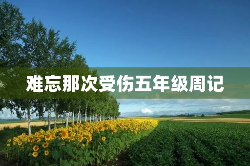 难忘那次受伤五年级周记 难忘那次受伤五年级周记