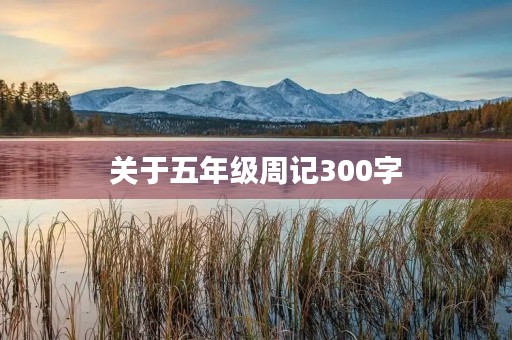 关于五年级周记300字