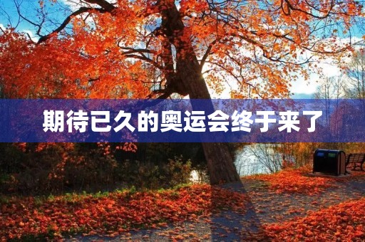 期待已久的奥运会终于来了