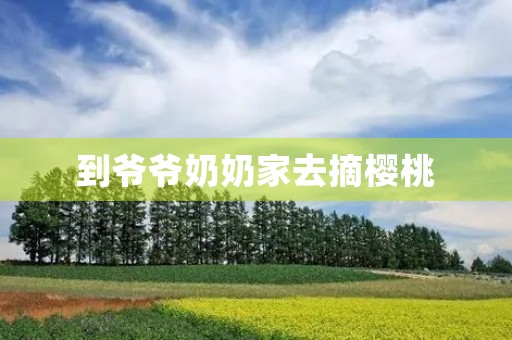 到爷爷奶奶家去摘樱桃 到爷爷奶奶家去摘樱桃