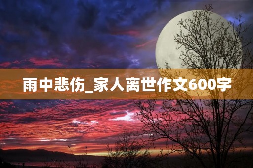 雨中悲伤_家人离世作文600字 雨中悲伤_家人离世作文600字