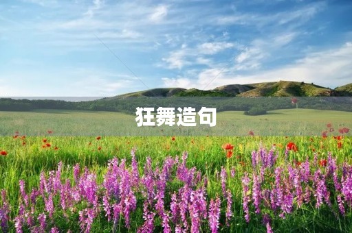 狂舞造句