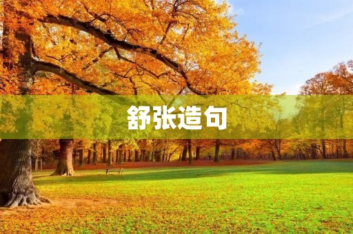 舒张造句