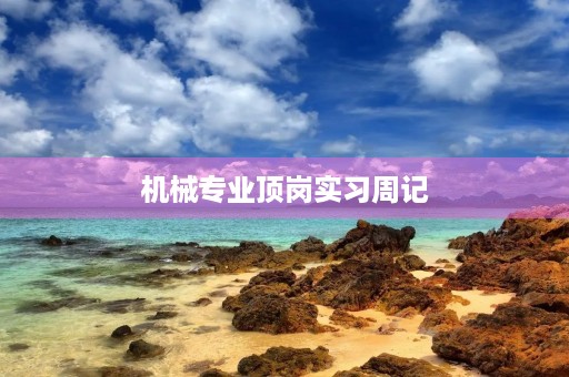 机械专业顶岗实习周记