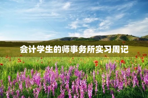 会计学生的师事务所实习周记