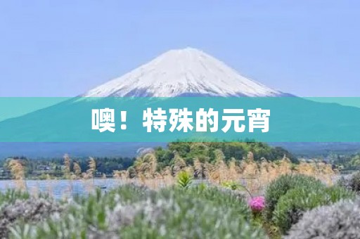 噢！特殊的元宵