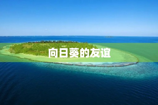 向日葵的友谊