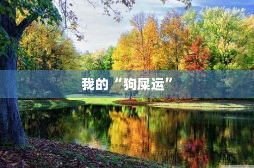 我的“狗屎运”