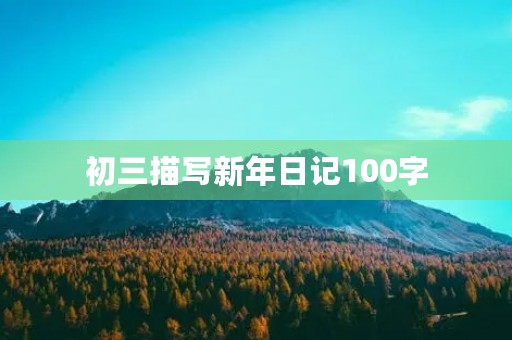 初三描写新年日记100字 初三描写新年日记100字