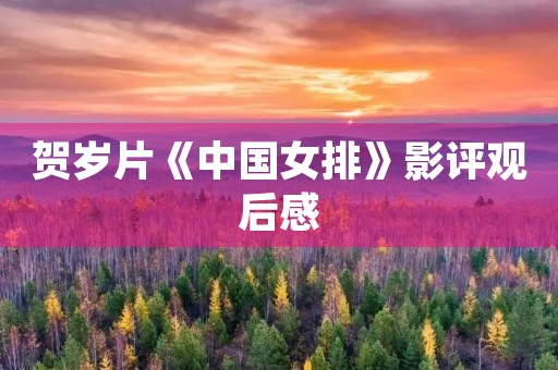 贺岁片《中国女排》影评观后感