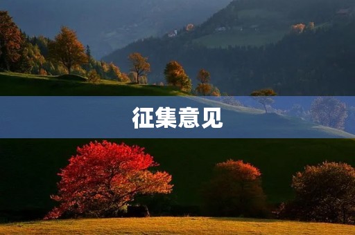 征集意见 征集意见
