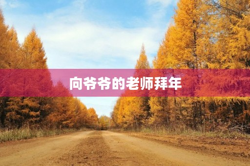 向爷爷的老师拜年 向爷爷的老师拜年